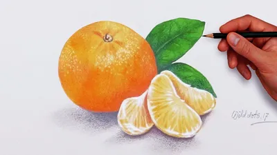 Still Life in Watercolor. Натюрморт акварелью. | Watercolor art paintings,  Canvas drawings, Sunset canvas painting