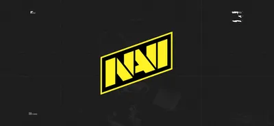 NAVI открыли молодёжный состав по Dota 2 - Natus Vincere