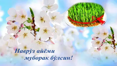 Наврӯз Муборак! Happy Nawruz! С Праздником Навруз! !نوروز مبارک |  International Trade Centre, Tajikistan