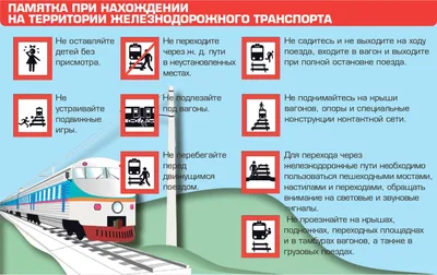 100 лучших загадок про транспорт для детей с ответами