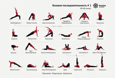 ОСНОВНЫЕ НАЗВАНИЯ АСАН И ИХ ЧАСТЕЙ. Добавляйте ... - Йога | Yoga,  №2512748840 | Фотострана – cайт знакомств, развлечений и игр