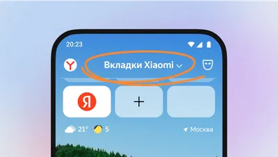 Google Chrome — Википедия