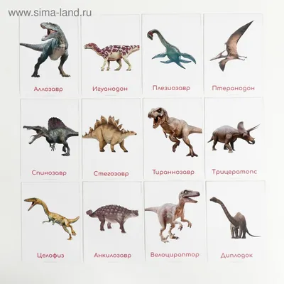 4.Девиз авторов энциклопедий: "Если название животного оканчивается на  -завр,то это динозавр" | Биоляпы вики | Fandom