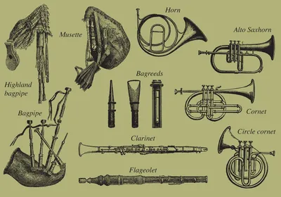 Музыкальные инструменты на английском языке