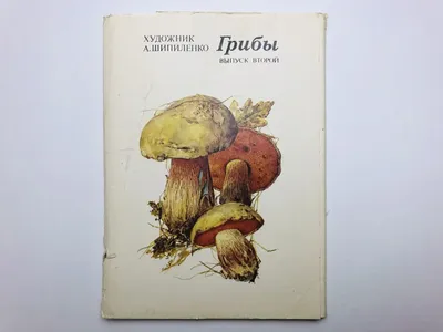 Imleria badia (Xerocomus badius), Польский гриб