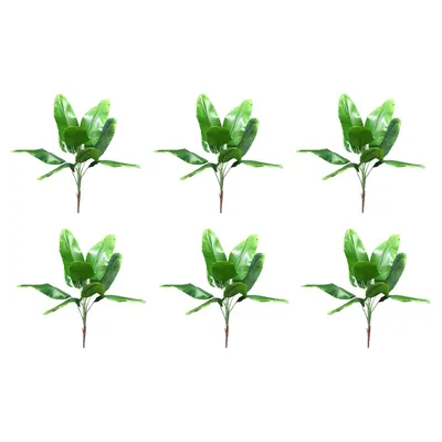 Лист лиственного растения рисунок - 74 фото