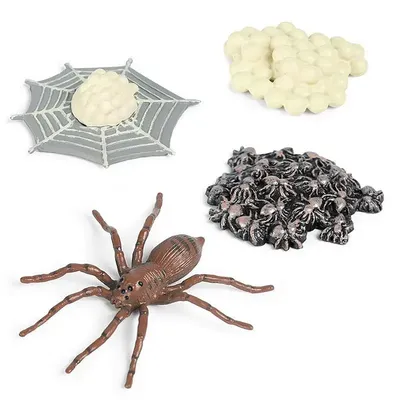 Маленькие фигурки пауков, ливапан, 8 мини-моделей, набор пауков, яркий паук,  развивающая Многофункциональная игрушка для мальчиков | AliExpress