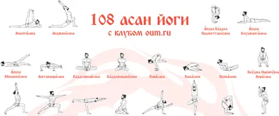 Асаны - позы в йоге для начинающих в картинках с названиями и видео
