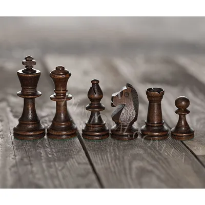 Шахматные фигуры | это... Что такое Шахматные фигуры?