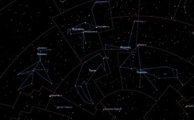 Рассказы про созвездия звездного неба для детей | Образовательная  социальная сеть