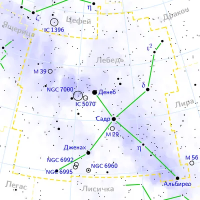 Лебедь (созвездие) — Википедия