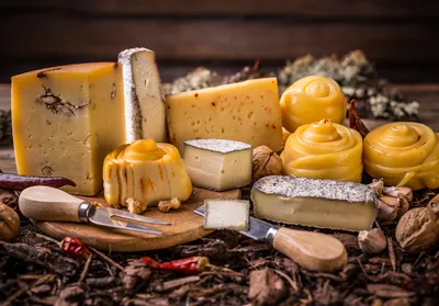 Сыр с плесенью: названия видов, описание и особенности употребления