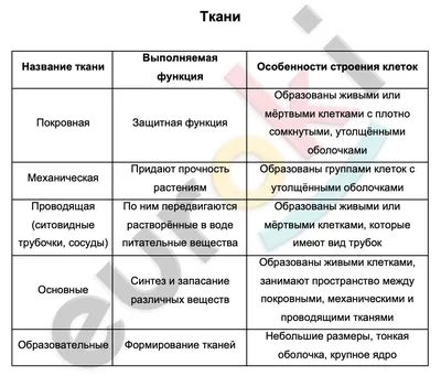 Ткань непродуваемая и непромокаемая — какую выбрать для одежды? - Velitto