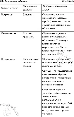 Рассмотрите ткани на рисунках А,Б,В,Г,Д. Определеите типы - Школьные  Знания.com