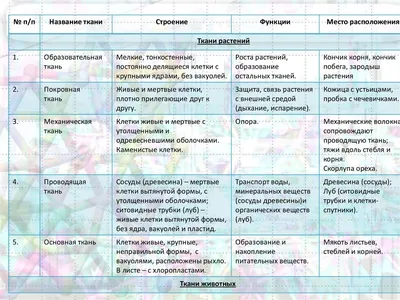 Сравниваем дорогую и дешевую ткань с одинаковым составом и названием |  БудРук | Дзен