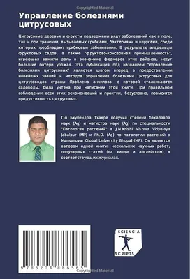 8 цитрусовых деревьев, которые можно выращивать в доме | Домашний сад 🪴  Всё о комнатных растениях | Дзен