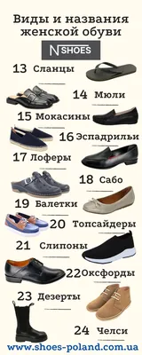 Виды женской обуви названия с инфографикой N-SHOES