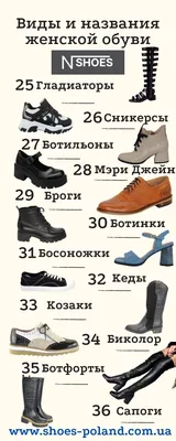 Виды женской обуви: список, название, фото и описание | обзор магазина  