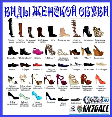 Виды женской обуви названия с инфографикой N-SHOES