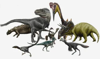 Динозавры онлайн dinosaurs, бесплатно динозавры хищные, фото динозавры  юрского периода, доисторические динозавры в картинках, самый большой  динозавр, виды динозавров энциклопедия, скелет динозавра, названия  динозавров эпоха, ихтиозавры, плезиозавры ...