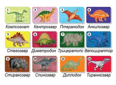 Динозавры – виды, список с изображениями, названия, описание, когда жили,  где обитали, видео - Научно-популярный журнал: «Как и Почему»