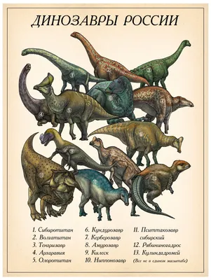 Названия динозавров (67 лучших фото)