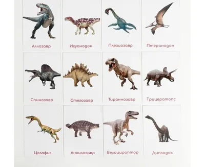 Такие разные динозавры. - Книги на русском языке в Вене