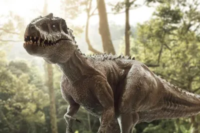 : Почему у динозавров такие сложные названия?