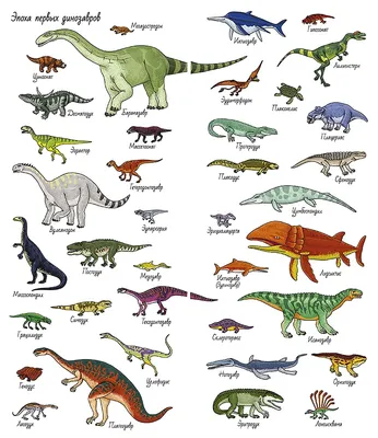 Картинки динозавров для детей. Игры, пазлы, фото, видео, кино, загадки,  раскраски с динозаврами и драконами. Различные виды дин… | Динозавр,  Динозавры, Детские игры