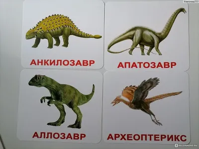 Вундеркинд с пеленок Набор обучающих карточек "Динозавры" - «Для любителей  динозавров» | отзывы