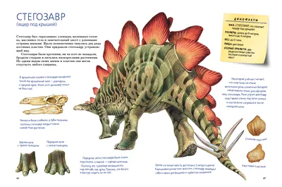 Динозавры виды картинки с названиями