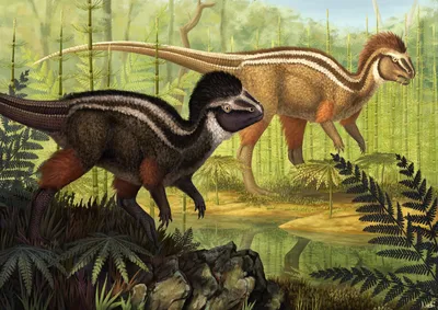 Кулиндадромеус: Маленький русский динозавр, заставивший учёных  перессориться друг с другом. Что с ним было не так? | Книга животных | Дзен