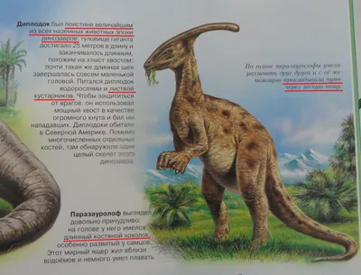 Динозавры онлайн dinosaurs, бесплатно динозавры хищные, фото динозавры  юрского периода, доисторические динозавры в картинках, самый большой  динозавр, виды динозавров энциклопедия, скелет динозавра, названия  динозавров эпоха, ихтиозавры, плезиозавры ...