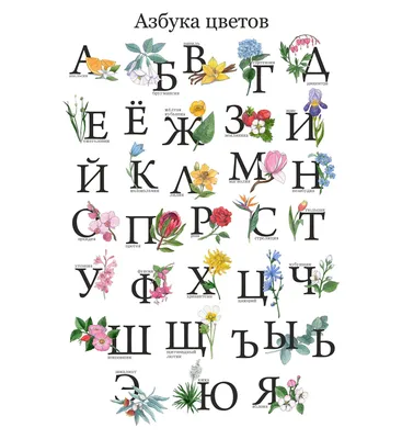 Картинки для детей с надписью цветов по алфавиту от а до я (47 фото) »  Юмор, позитив и много смешных картинок