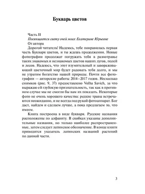 Переставь буквы в горшочке так, чтобы получились названия цветов. |  Прописи, Обучение алфавиту, Обучение