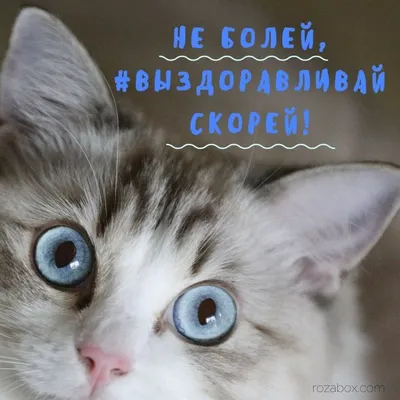 Открытка выздоравливай скорее - скачать бесплатно