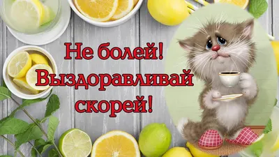 11 Выздоравливай скорей ideas | postcard, congratulations and best wishes,  funny christmas pictures