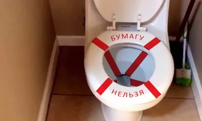 Унитаз и привычка