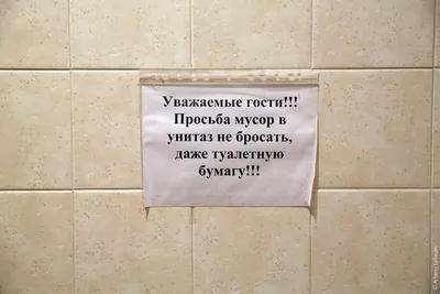 Смывать или не смывать? Что на Тайване делают с грязной туалетной бумагой |  TravelManiac | Дзен