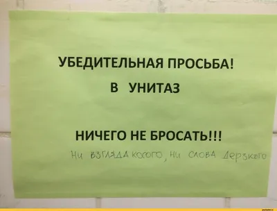 Конфузы Олимпиады в Сочи: унитаз-тандем, падающий карниз и желтая вода в  кранах (фото) | Новости Мира на «Думской»