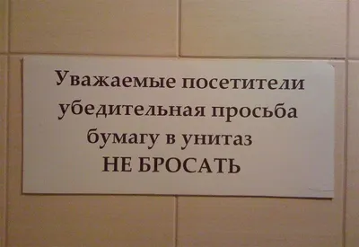 Почему на самом деле нельзя бросать в унитаз туалетную бумагу: жаль раньше  не знали