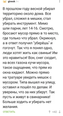 Крик души! Люди-свиньи, которые загаживают красивейшие парки России |  Глазами путешественницы | Дзен