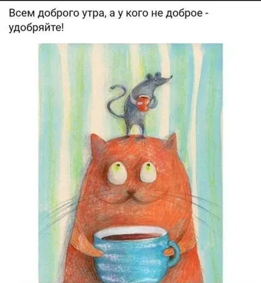 майка ( футболка) грэмпи кэт, не доброе утро, доброе утро котик, Grumpy Cat  - Минск, Беларусь