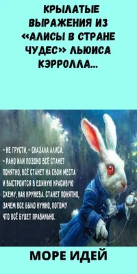 — Не грусти, — сказала Алиса. — Рано или поздно все станет понятно, все  станет на свои места, потому что так правильно | РЕГРЕССОЛОГ | АЛЛА  КОЛУПАЕВА | Дзен