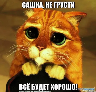 андрюш,не грусти всё будет хорошо), Мем ну пожалуйста (please) - Рисовач .Ру