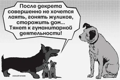 Почему каждая вторая сотрудница увольняется сразу после выхода из декрета -  Ведомости