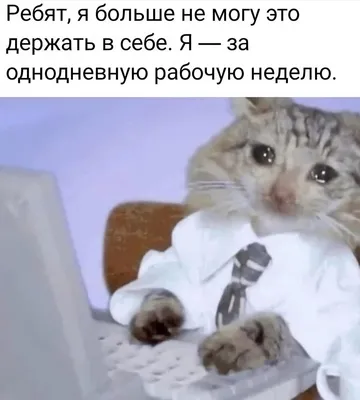 Не хочу я на работу - ЯПлакалъ