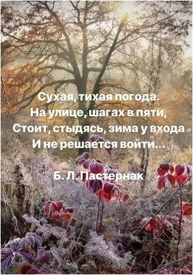 Котоматрица: Мдееее....Сегодня только понедельник. До пятницы ещё.... А как  хочу жрать А