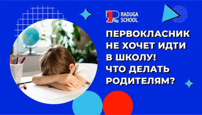 Почему молодые учителя не идут работать в школы: откровения начинающих  специалистов -  - НГС24