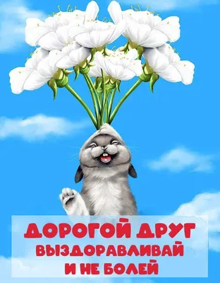 Подарунковий кошик "Не хворій" — Подарунки купити з доставкою в KievFlower.  Артикул: 55594